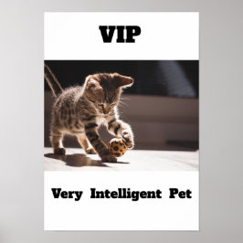 VIP - Poster de gatos Adoráveis Pet Muito Intelige