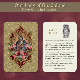 Virgem Maria Salve Reina Espanhola Oração Santa