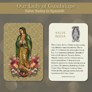 Virgem Maria Salve Reina Espanhola Oração Santa