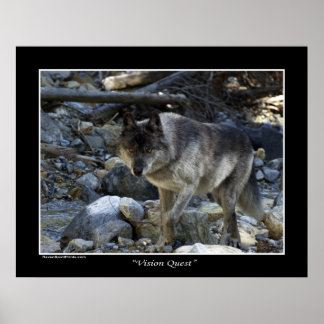 "Vision Quest" Cinza Wolf Photo Poster