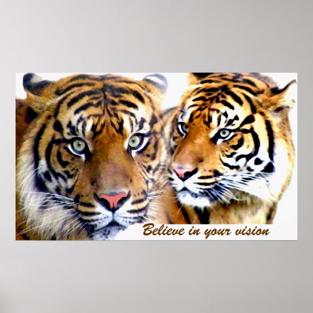 Visions_ Poster (Frente)