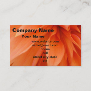 Visita arte de fotografia original do modelo de cartão de