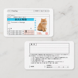 Visita Cartão Personalizado de Carteira de Motorista Japo