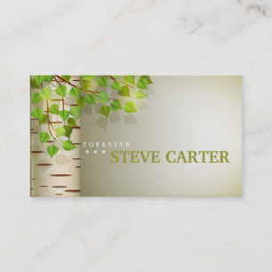 Visita Cartão verde de Birsh da natureza da árvore de