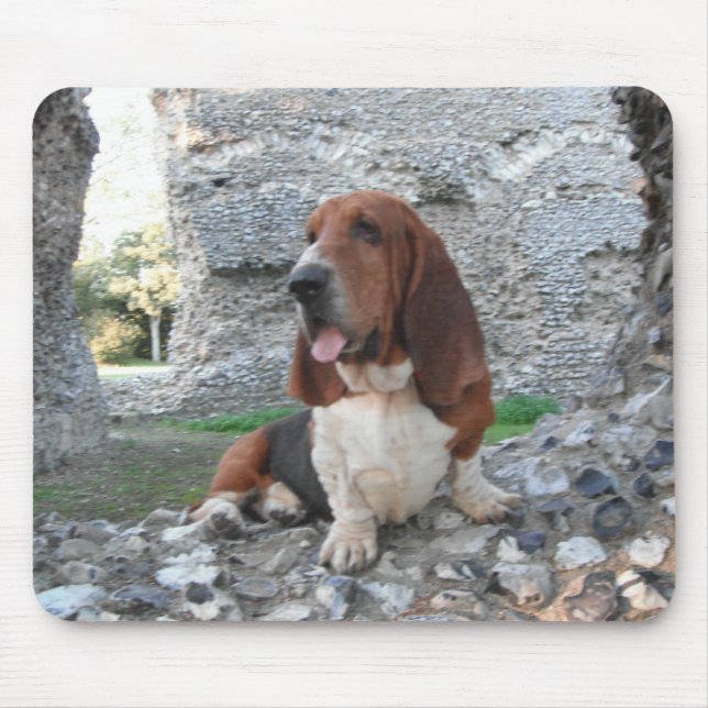 Visita de Ruin ao Castelo de Hound de Mousepad Bas (Frente)