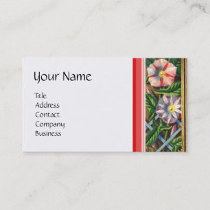 VISITA MADEIRA DE MANHÃ, CARTÃO DE GARÇAS, DOMÉSTICO, JAR