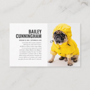 Visita Memorial Funeral Em Cartão com fotos De Pet De Me