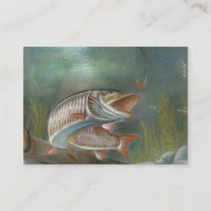 Visita Modelo de cartão de negócios de MUSKIE