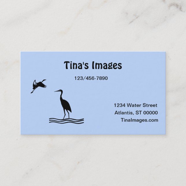 Visita Ônibus. Cartão - Imagens de Pássaros (Frente)