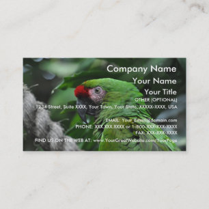 Visita Papagaio verde - modelo de cartão de negócios