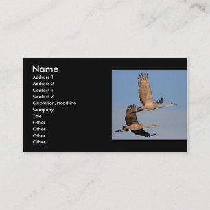 Visita perfil ou cartão de visita, casal do guindaste