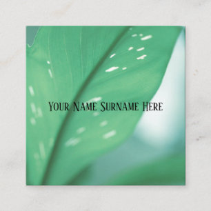 Visita Quadrado Folhas Verdes Claras da Planta Natureza Cartão de 