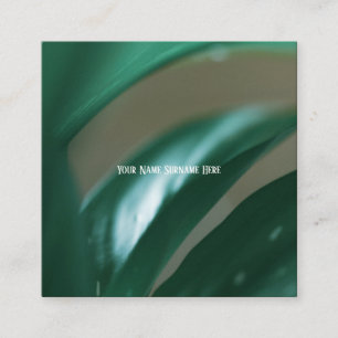 Visita Quadrado Planta Verde Pálida deixa a natureza Cartão de v