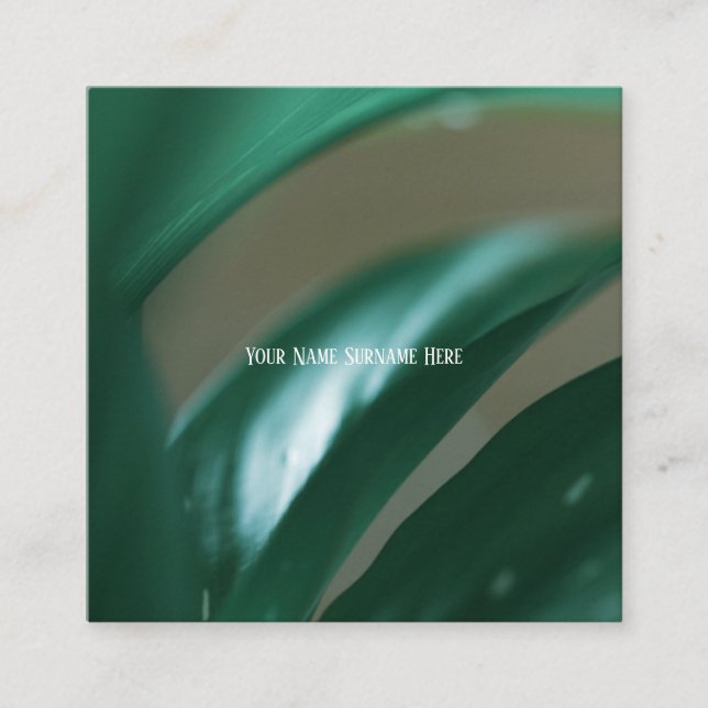 Visita Quadrado Planta Verde Pálida deixa a natureza Cartão de vis (Frente)