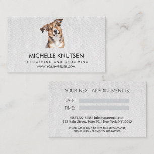 Visita Trendy Pet Bathing e Cartão de Compromisso de Emer