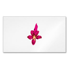 Visitas Magnético Cartão de visita Magnet