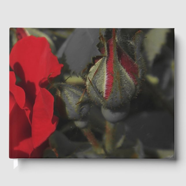 Visitas rosas vermelhas em livro de convidados preto, fest (Frente)