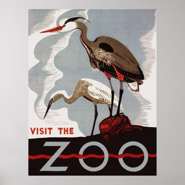 Visite o Poster de Zoológico (Frente)
