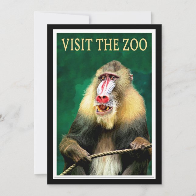 Visite o Zoo, poster de viagens vintage, (Frente)