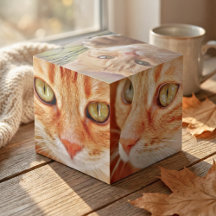 Vislumbre do seu Pet: Cubo de Foto Personalizado