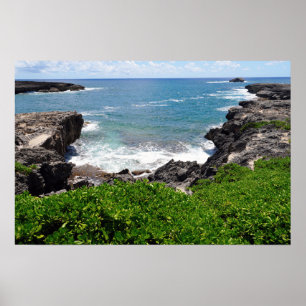 Vista Cênnica do Poster da Costa Havaiana