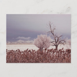 Vista Congelada de Antelope Island - Utah - Cartão