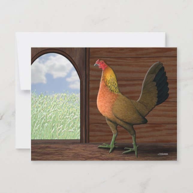 Vista de Henhouse (Frente)