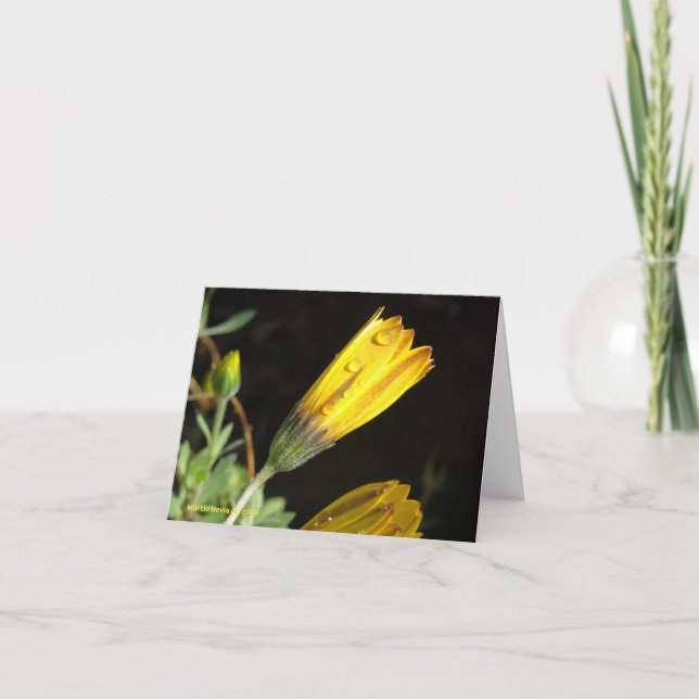 Vista em uma margarida amarela - Cartão de Nota (Frente)