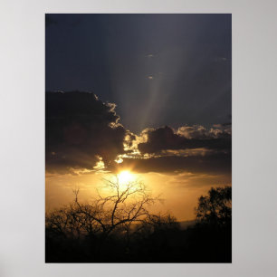 Vistas de arte vivas Poster