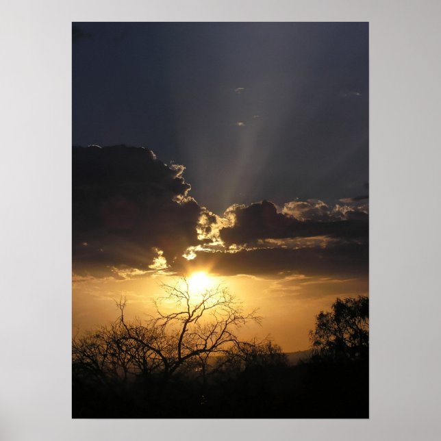 Vistas de arte vivas Poster (Frente)