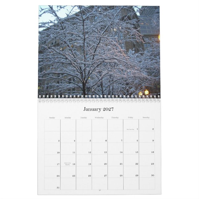 Vistas novas 2009, um calendário de ruth (Jan 2027)