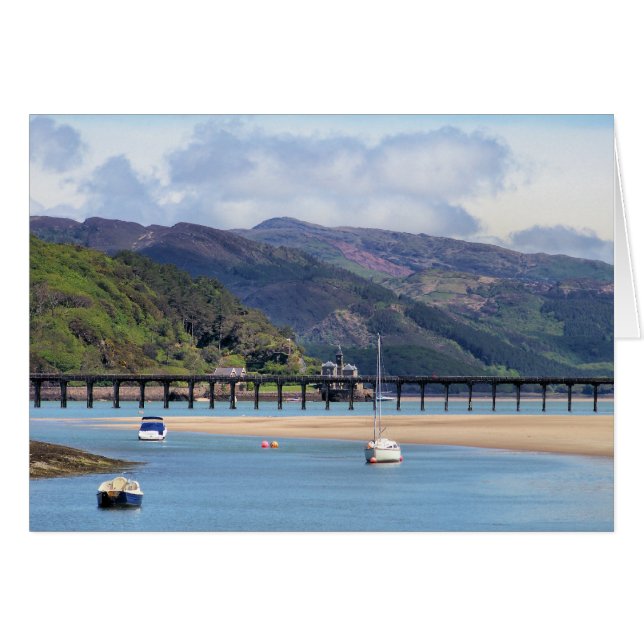 VISUALIZAÇÕES DO CARTÃO WALES (Frente Horizontal)