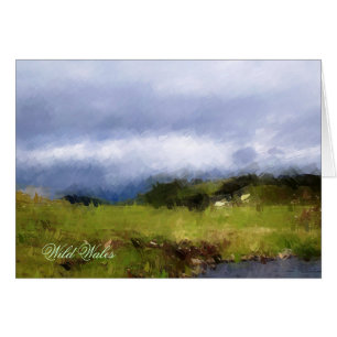 VISUALIZAÇÕES DO CARTÃO WALES