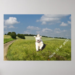 "Viva como…" Poster - versão budista (da matriz