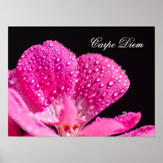 Viva sua vida em harmonia com a natureza! poster (Frente)