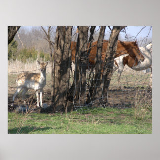 Vivendo juntos Poster