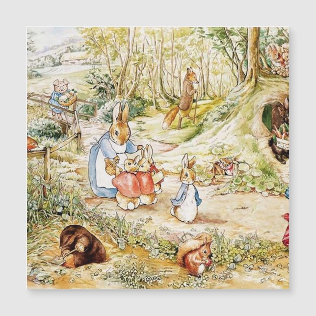 Vizinhança de Peter Rabbit por Beatrix Potter (Frente)