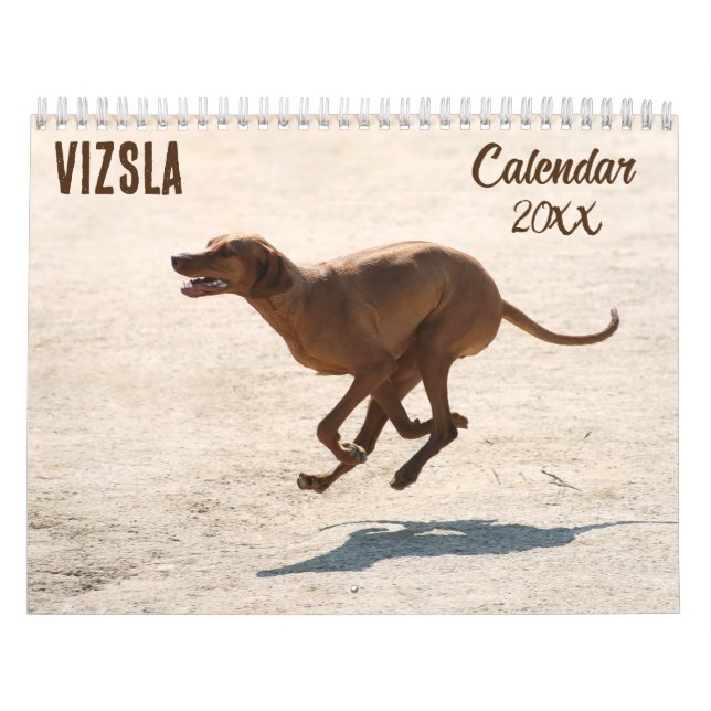 Vizsla Calendário 2026 (Capa)