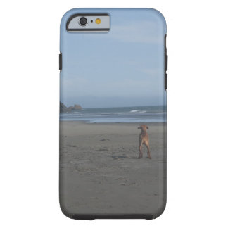 Vizsla na capa de telefone da praia