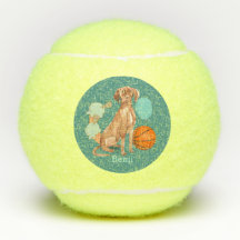 Vizsla Teal Personalizado