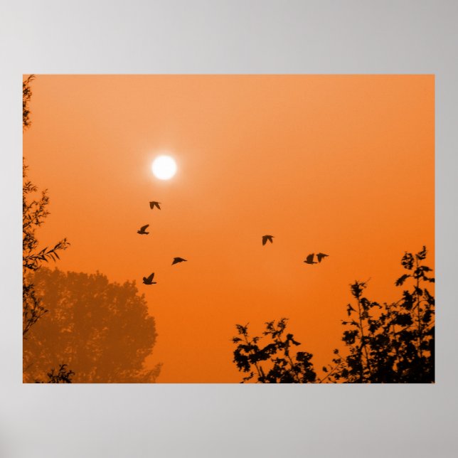 Voar no Impressão do amanhecer (Frente)