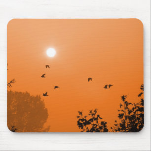Voar no Mousepad de madrugada