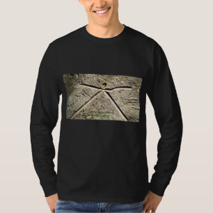 Você, Chakras... Pega Uma Camiseta De Folga Longa