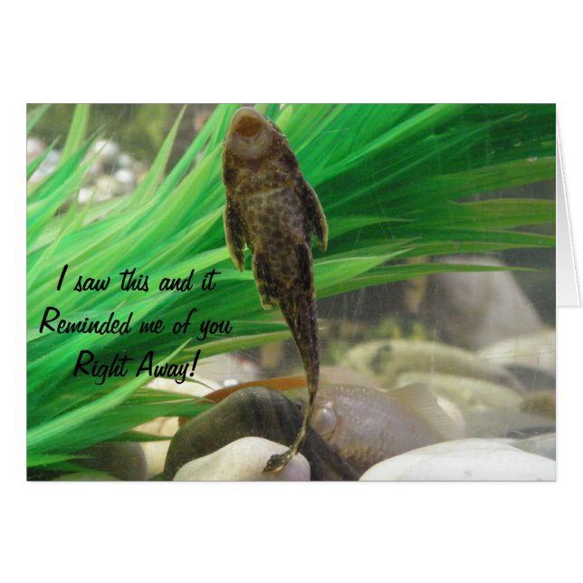 Você Chupa Cartão (Frente Horizontal)