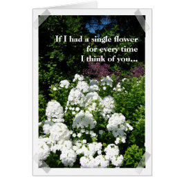 Você compo o jardim de meu cartão da vida