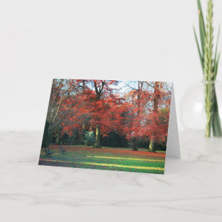 Você di-lo o melhor cartão de cumprimentos