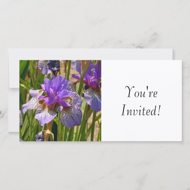 Você é Convidado (Frente)