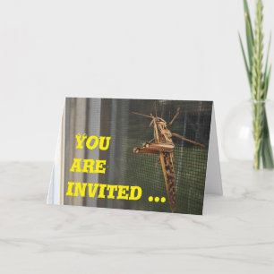 Você é convidado para sair, cartão