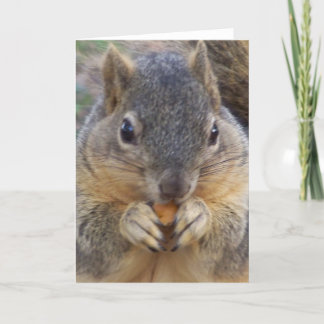 Você é convidado todo o cartão de Occasion_