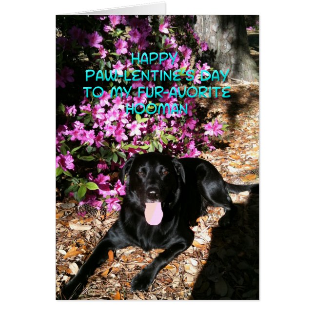 Você é meu cartão de Namorados doméstico favorito (Frente)